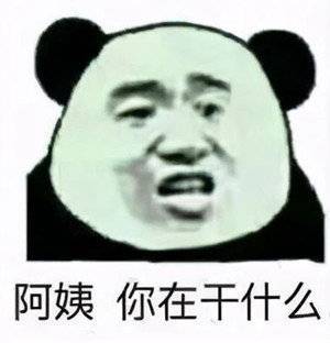 阿姨  你在干什么表情包