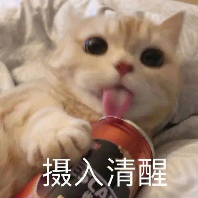 我的小猪猪醒了吗？