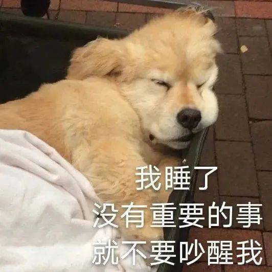 男人不打不听话表情包