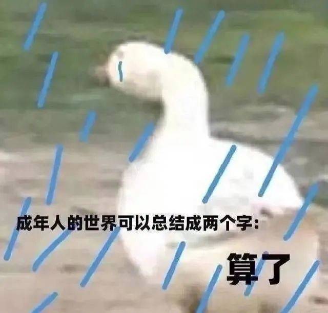 是我冒饭了