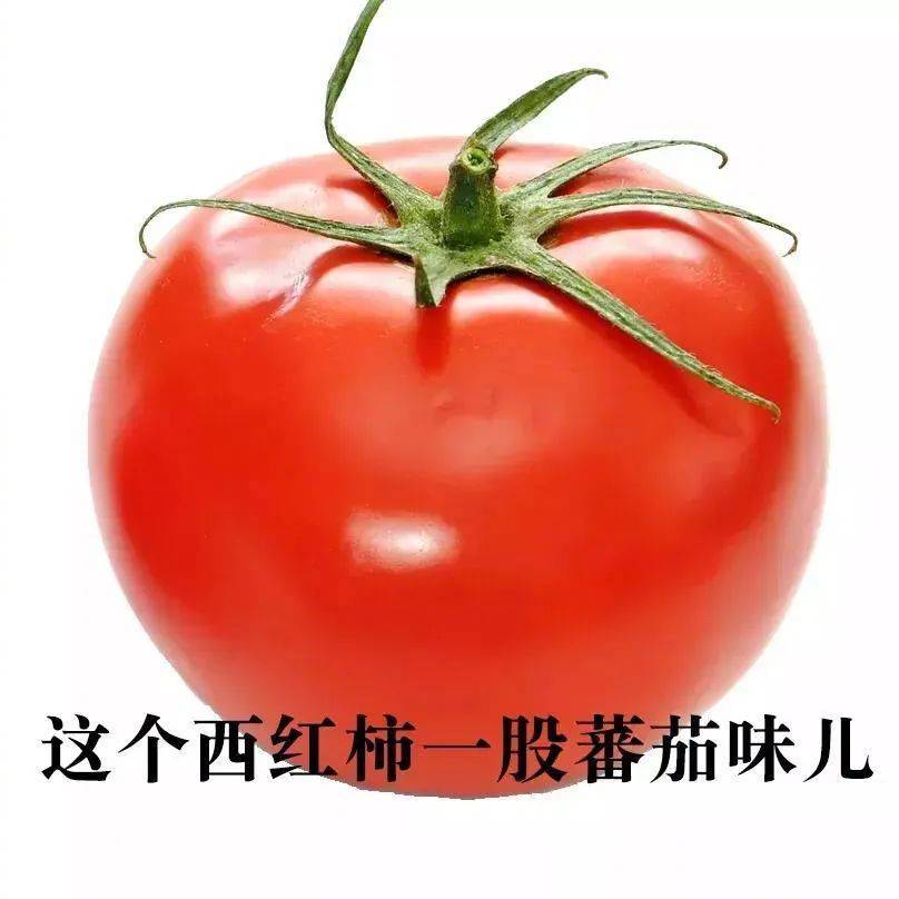 这个西红柿一股番茄味儿