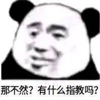 那不然？有什么指教吗？