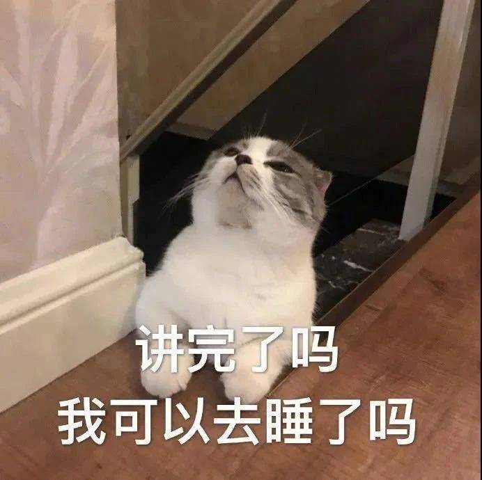 谁家的狗 又出来乱舔