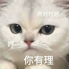 不行  你…那你干嘛？！