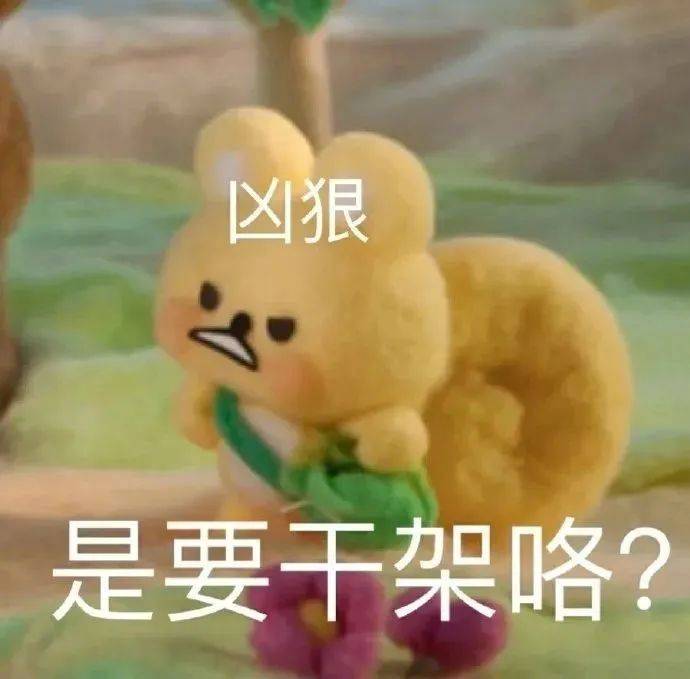 是要干架咯？表情包