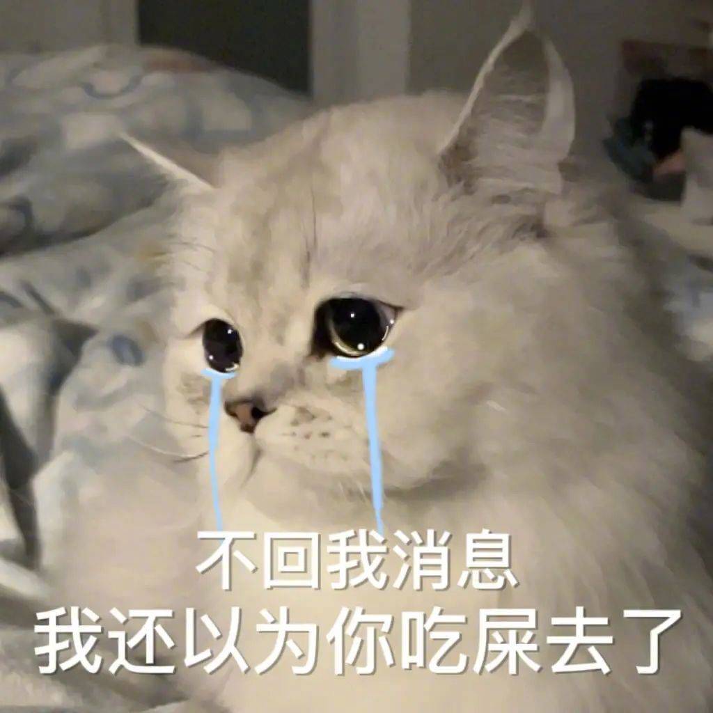 你说这批话谁能接