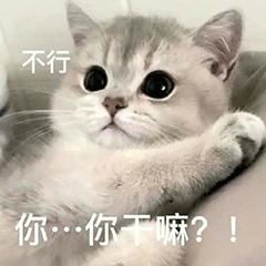不行  你…那你干嘛？！