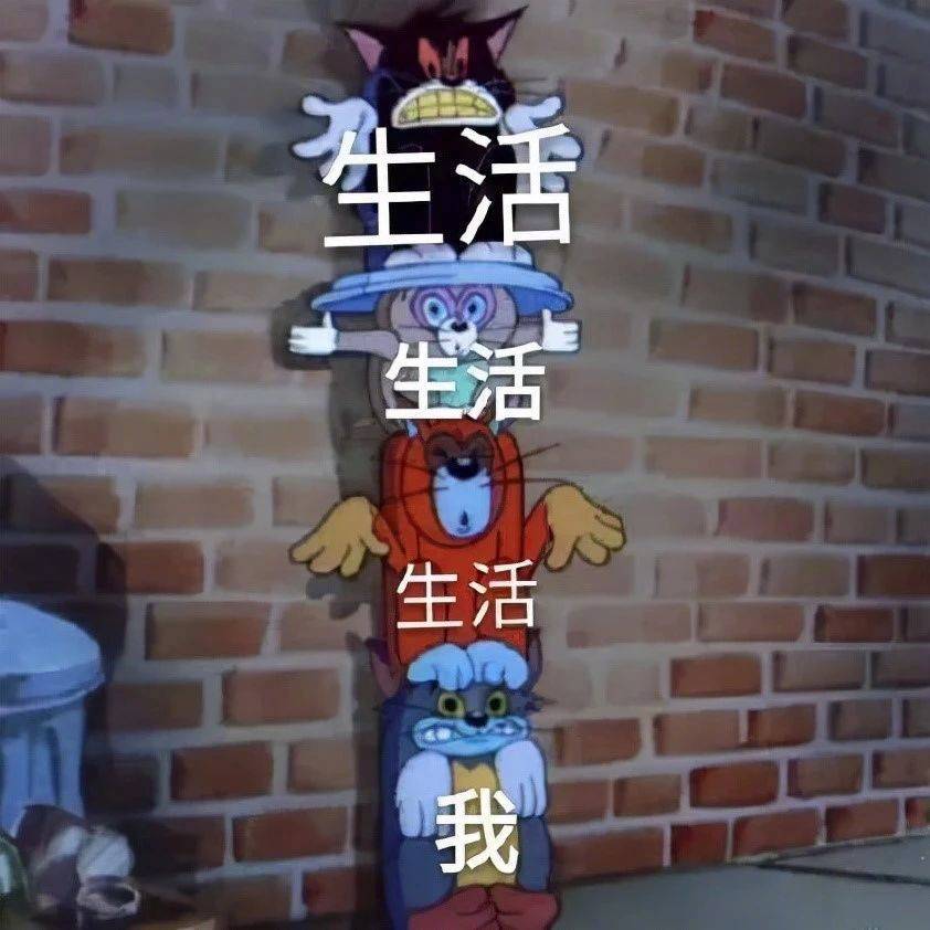 谢谢，有被无语到