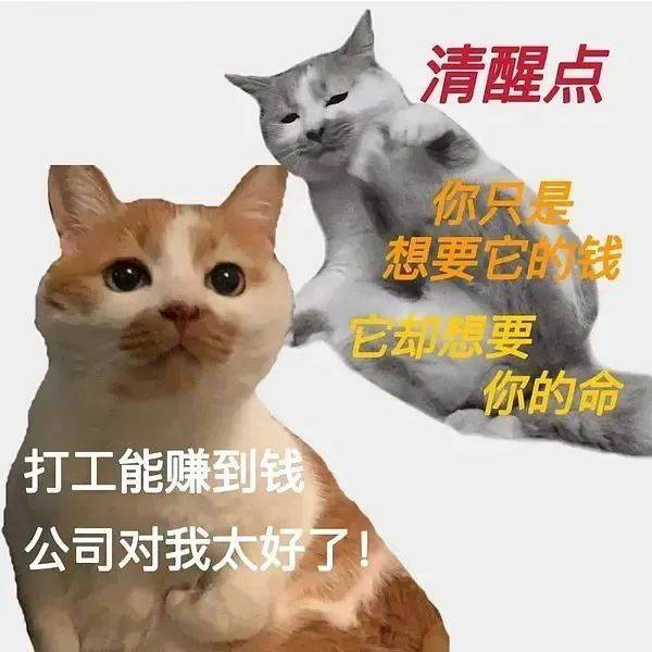 我啷个晓得