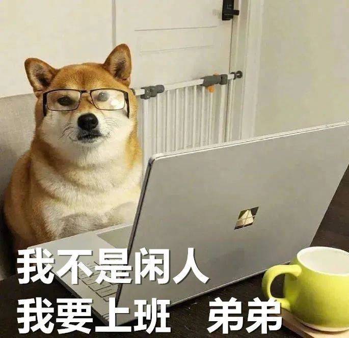 不了不了 伤身体