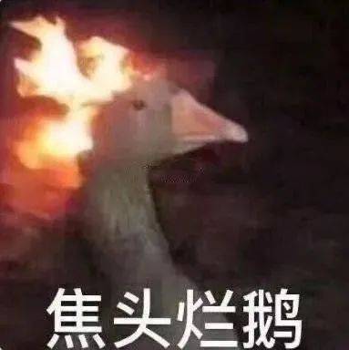 不愿面对