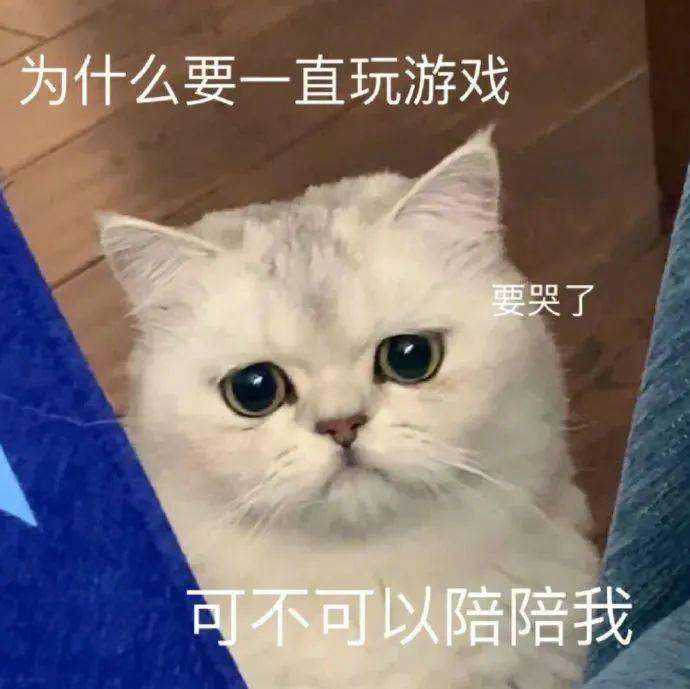 好歹我也可可爱爱表情包