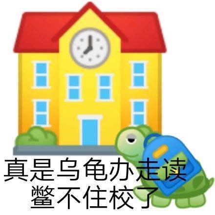 可真是乌龟退房 鳖不住了