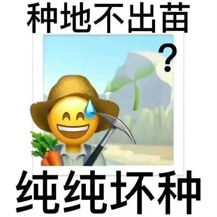 我就搞不懂了表情包