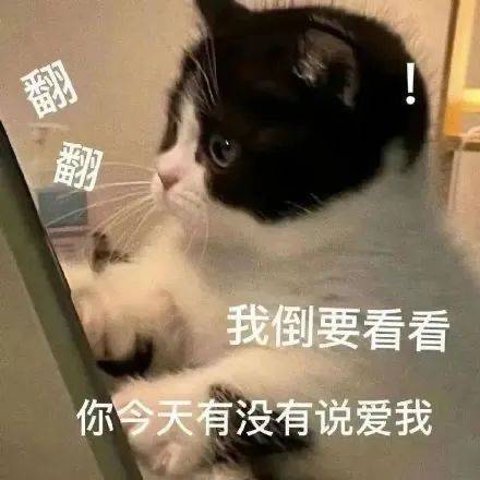 你在狗蕉什么