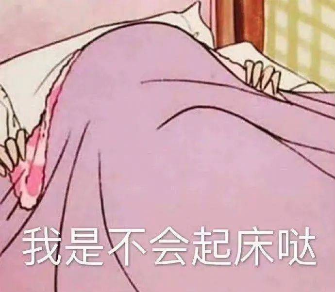 抱歉无爱了表情包