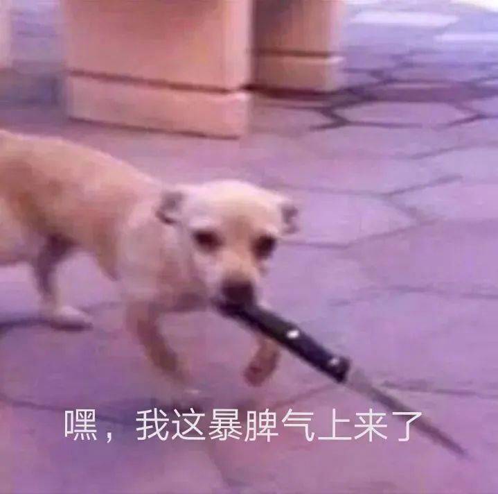 我想表达一下我的感受表情包