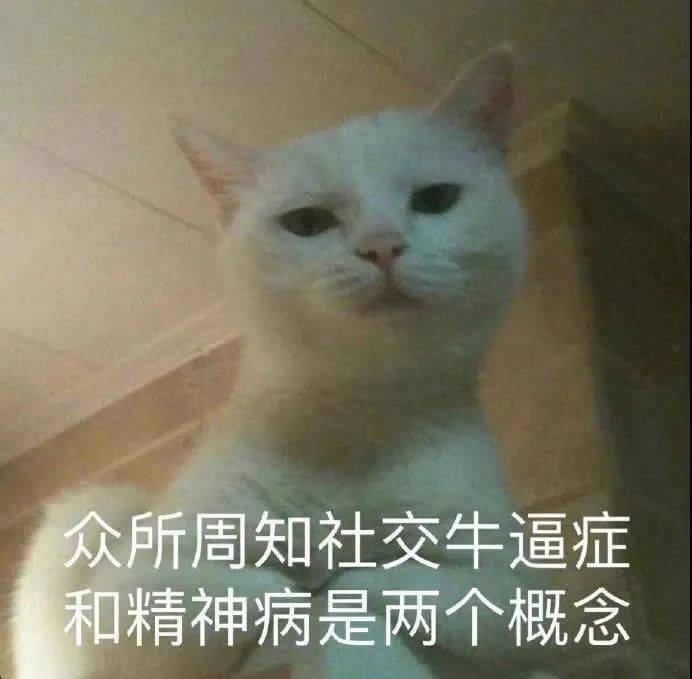 外边的世界快乐吗