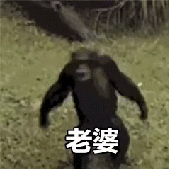 一天不色色 ，癫痫发作作