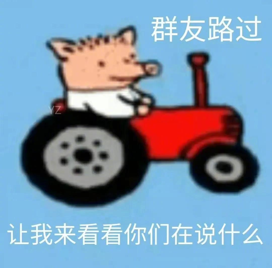 来自贫穷的凝视表情包