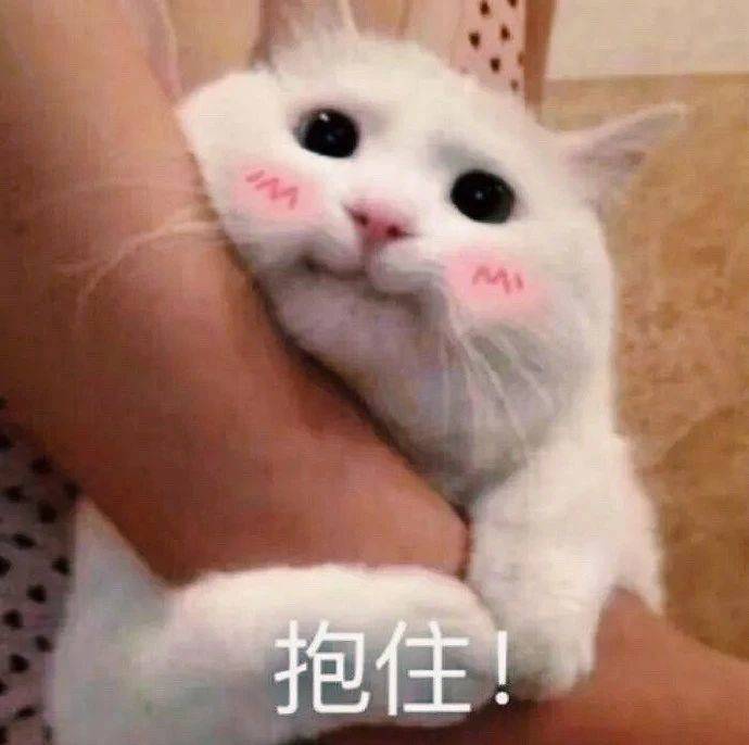 我真的什么都不知道表情包