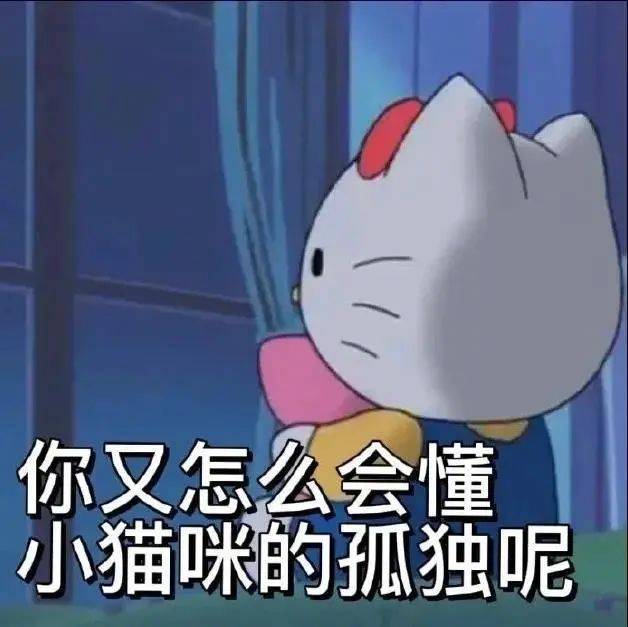 你又怎么会懂小猫咪的孤独呢表情包