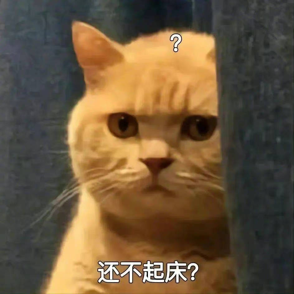 还不回消息？表情包