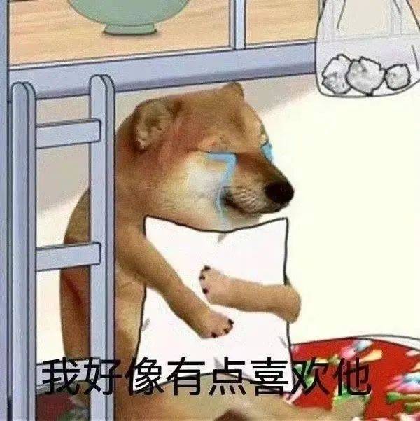 为什么要欺负宝宝