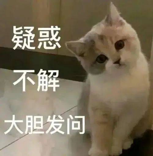 请多担待啦