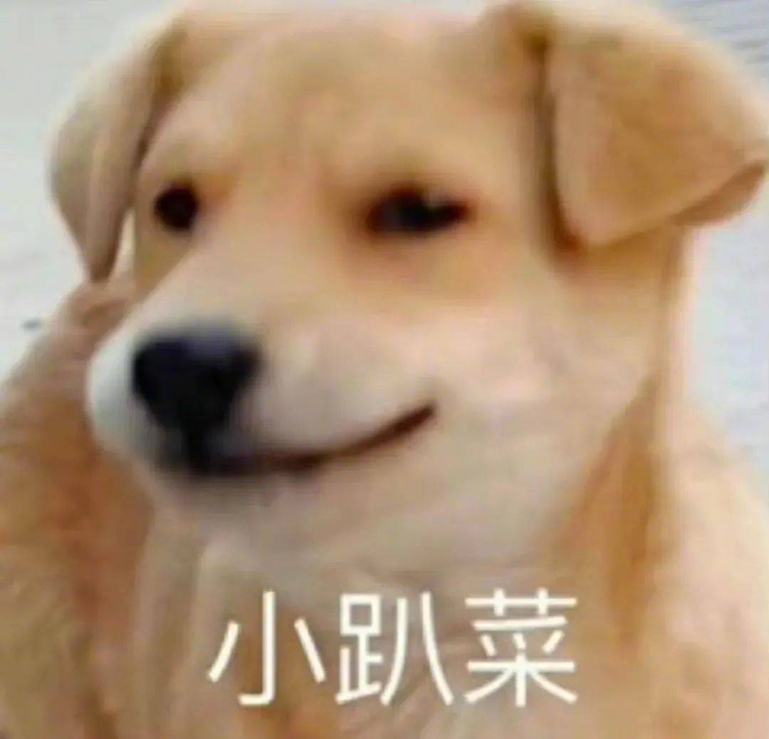 啊？我不理解