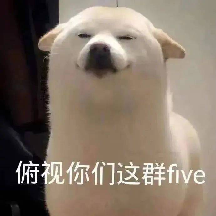 俯视你们这群five表情包