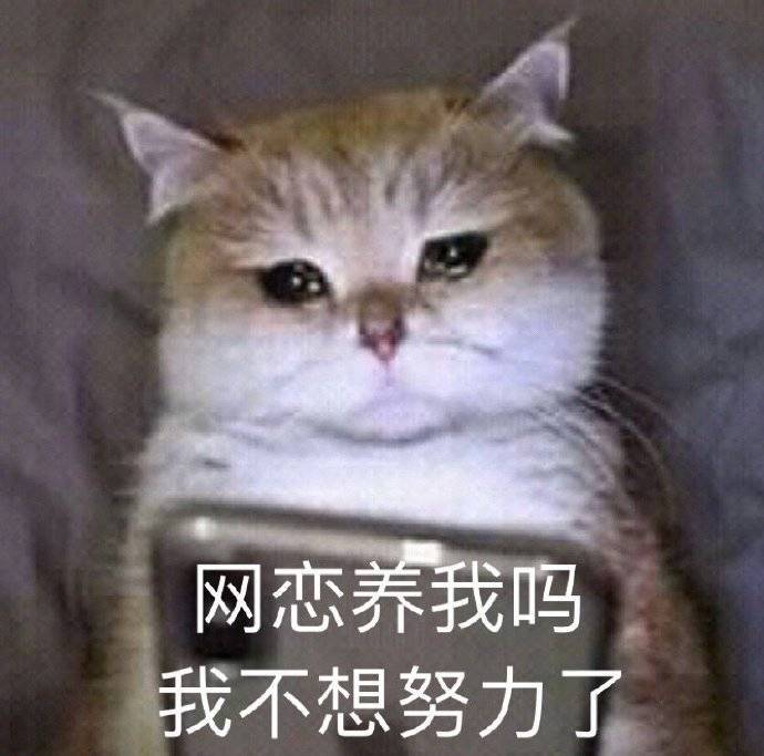 你需要醒一醒表情包