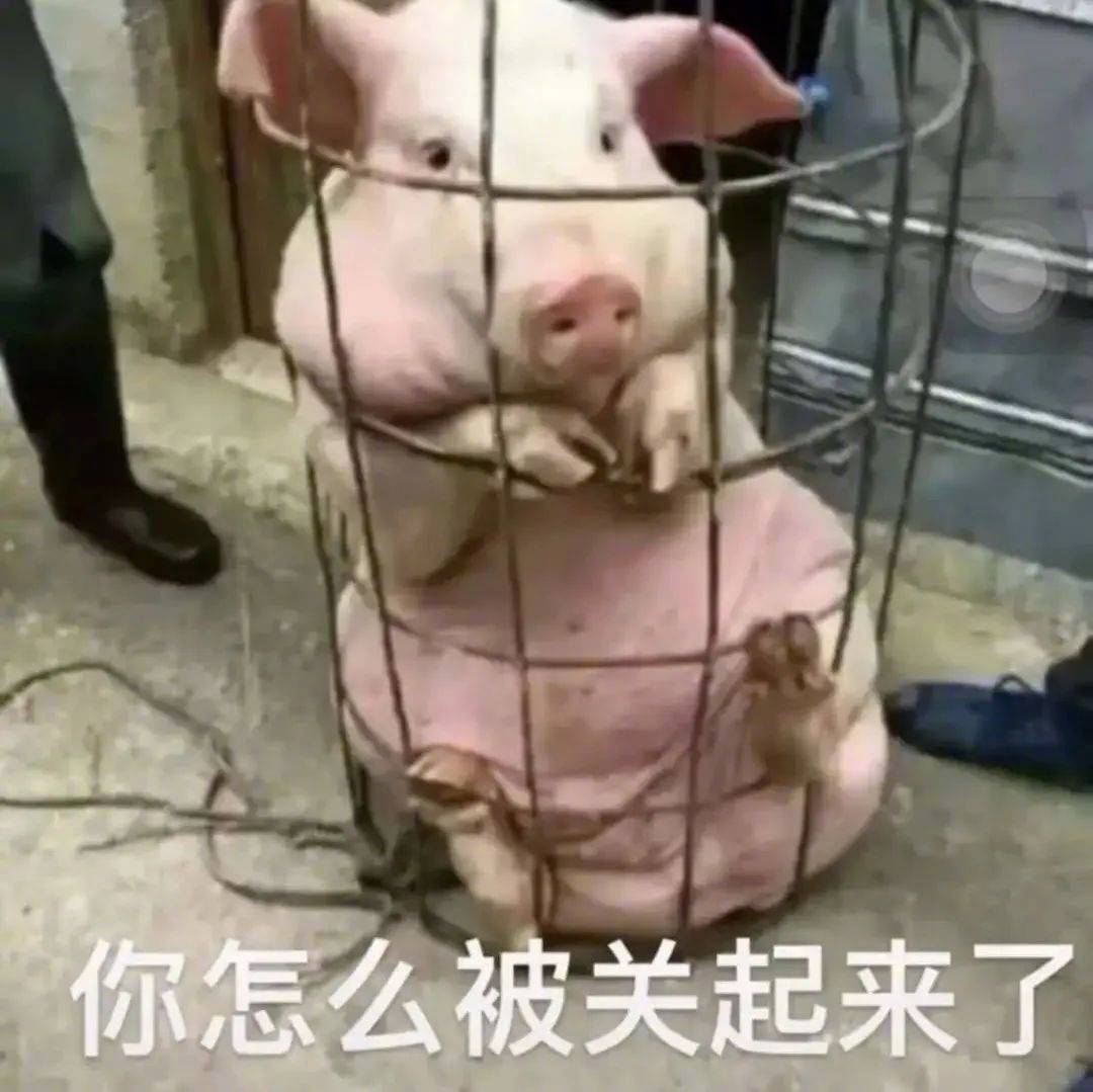 给你个爱我的机会