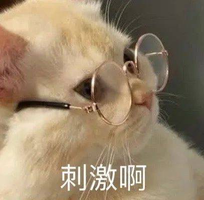 进入干饭预备状态
