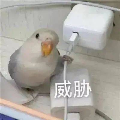 乖  让我抱一下