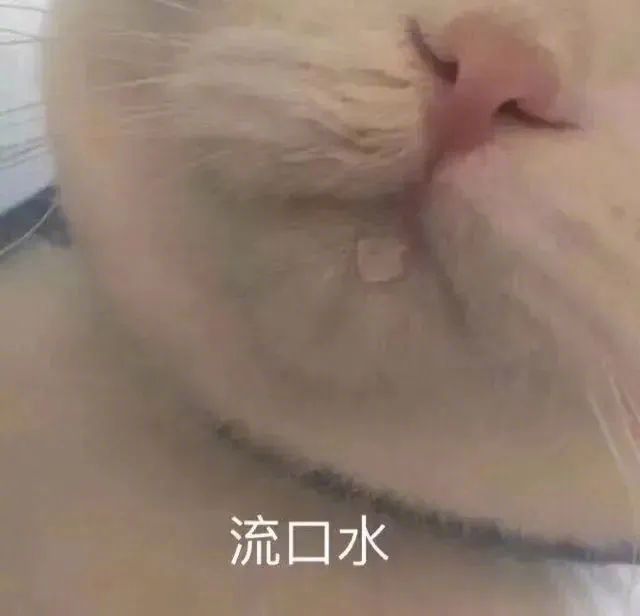 小猫咪也会有烦恼表情包