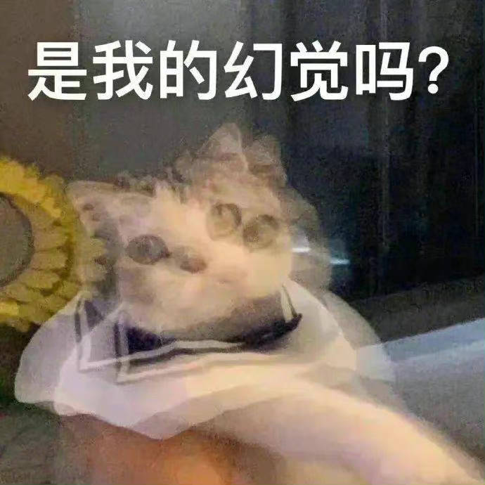 狗咩  潜水呐