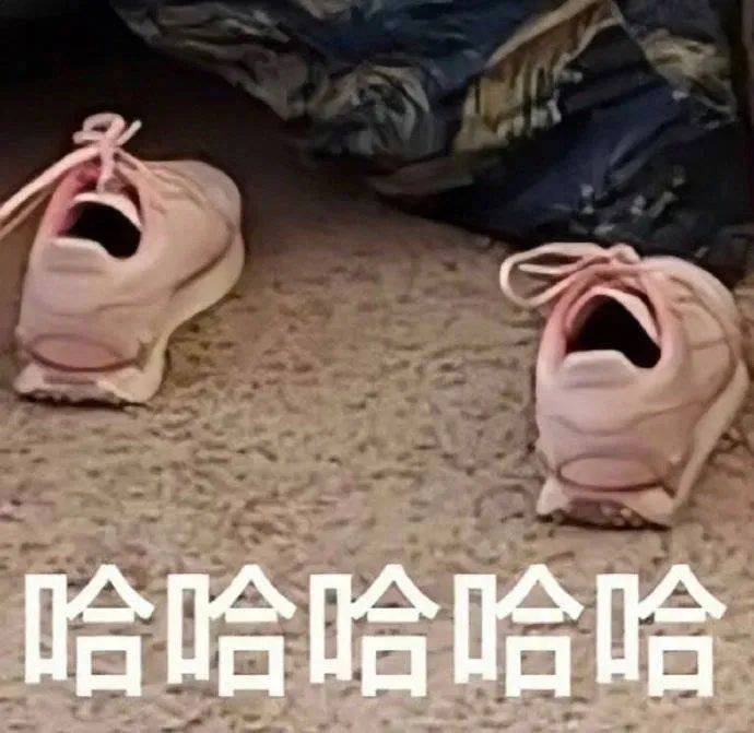 我真服了  哼表情包