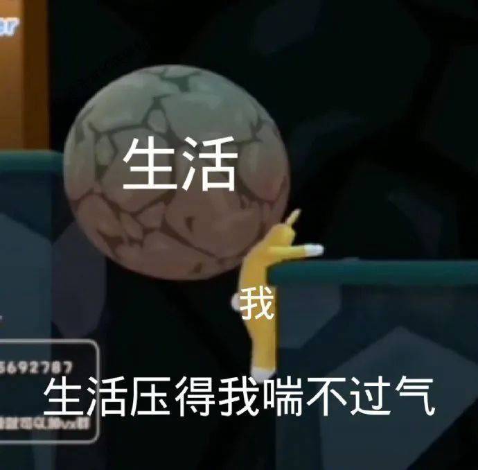 在你的鱼塘里躺好表情包