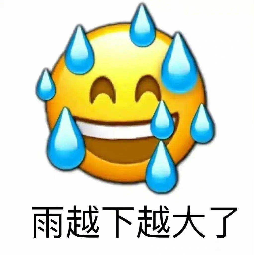 雨越下越大了表情包