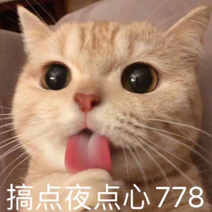 搞点夜点心778表情包