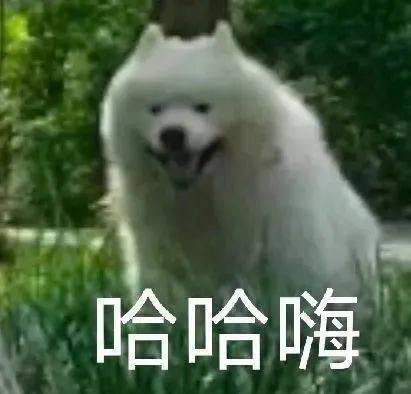 我是学生  给我表情包