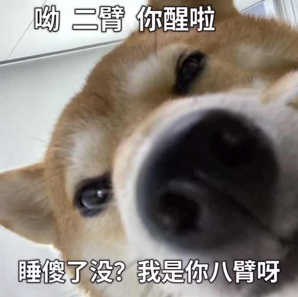 老子要亲死你表情包