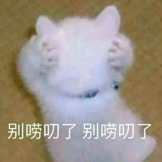 怎么又是你这个b