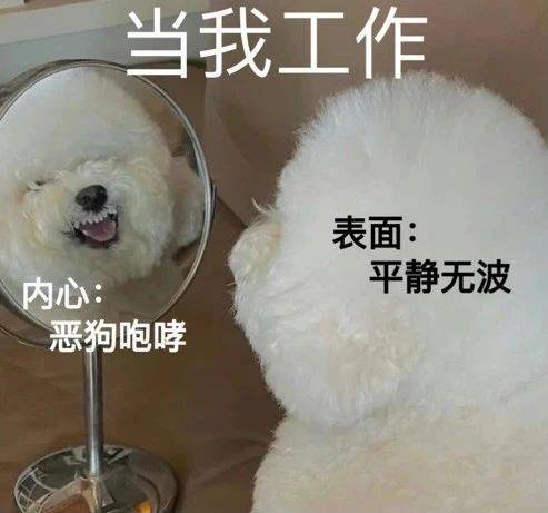 这都不磕 想什么呢表情包