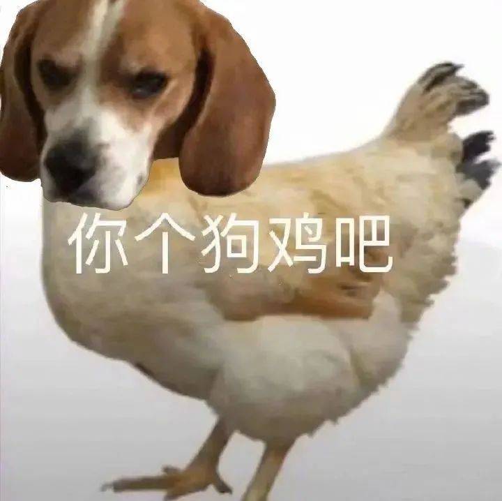 希望我的朋友永远单身