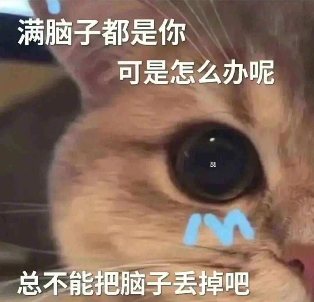 瓜皮一枚表情包