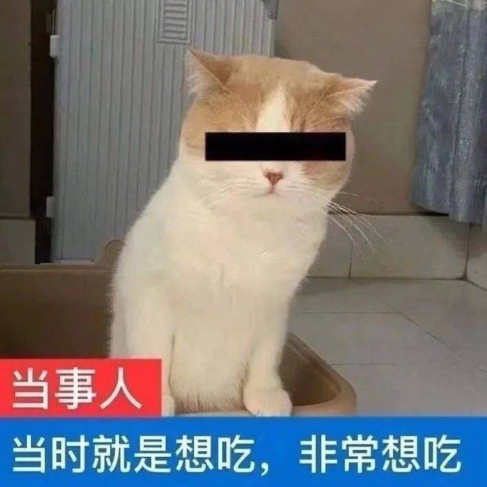 我鬼混回来了