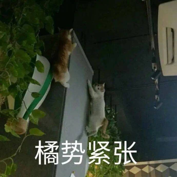 你再阴阳怪气试试