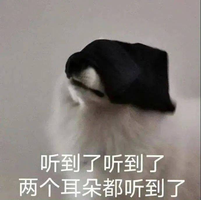 给我去门外站着表情包